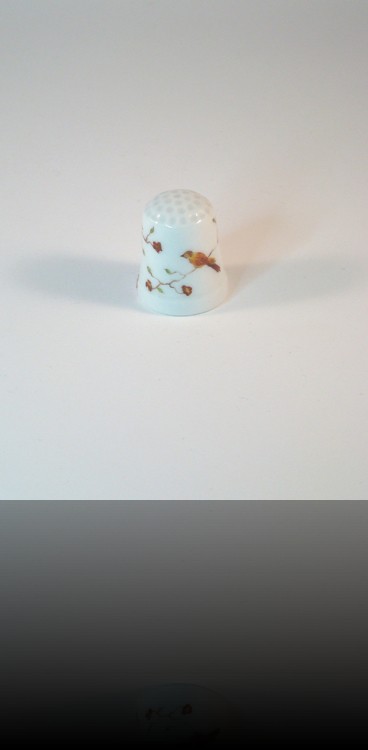 de a coudre oiseau